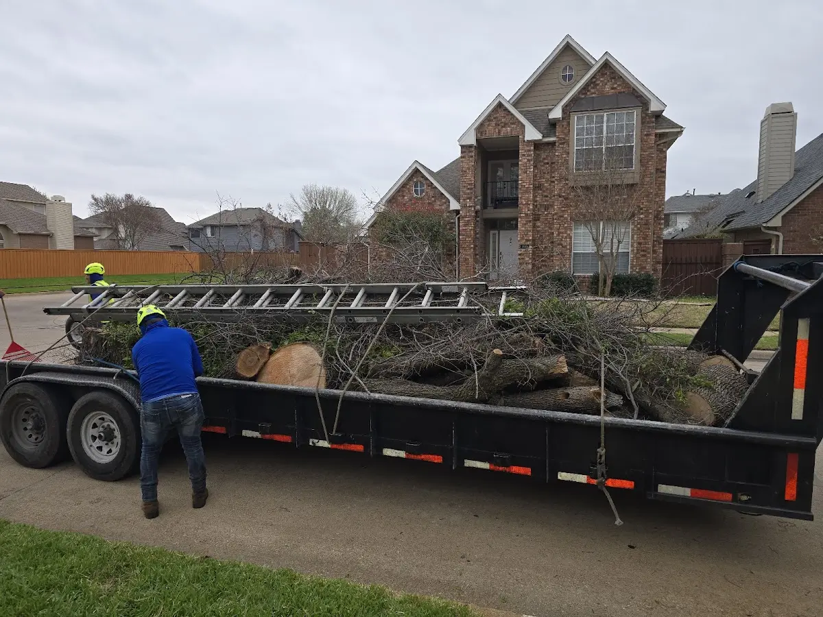 Expert Tree Pest Control with proper safety equipment in Point Of Rocks
